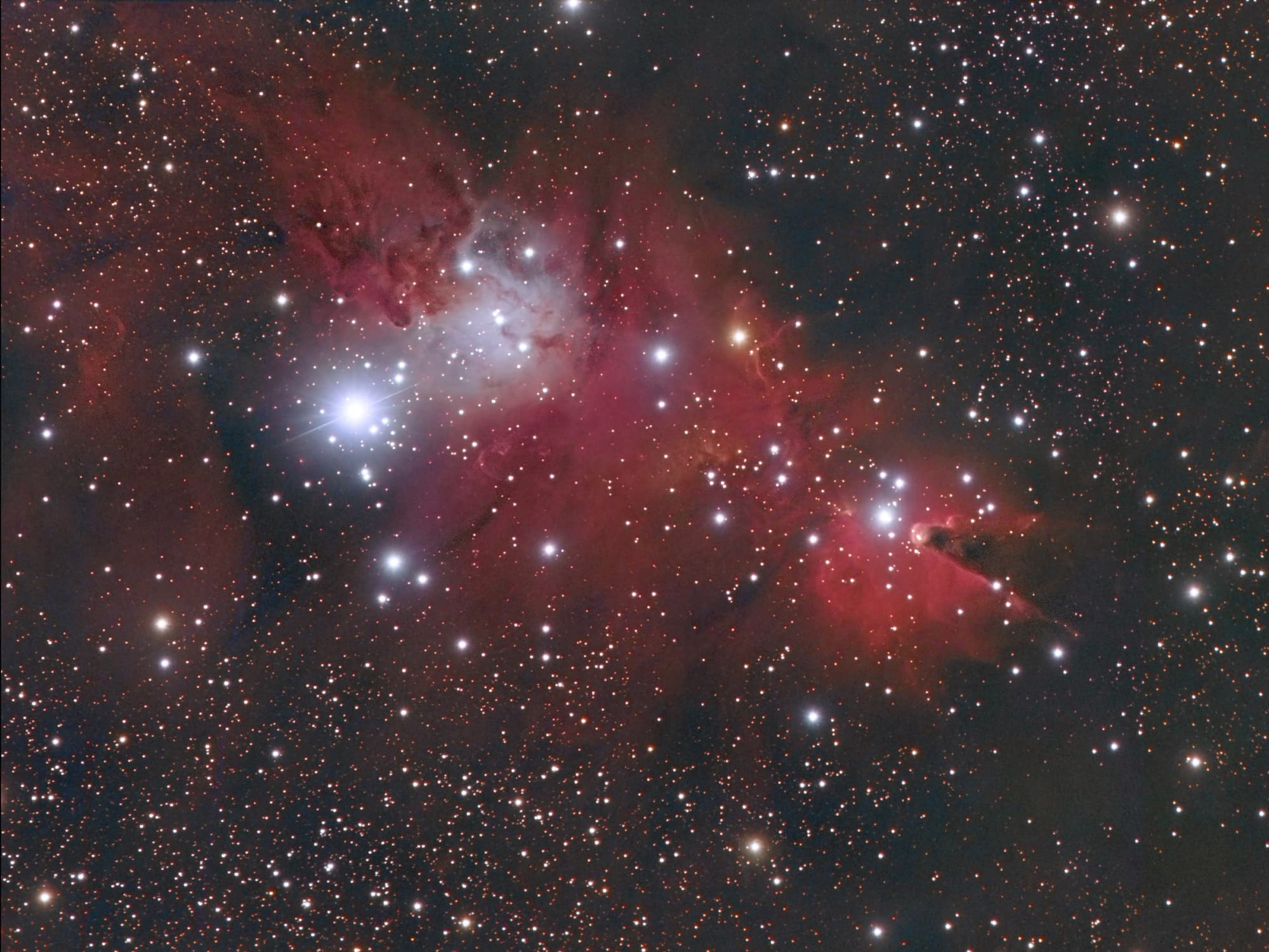 Christmas Tree Cluster (NGC 2264) Spektrum der Wissenschaft